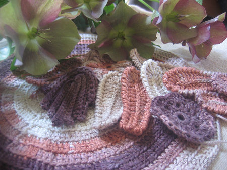 hellebore_1