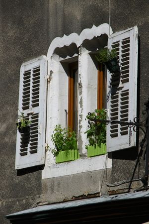 IMG_3363