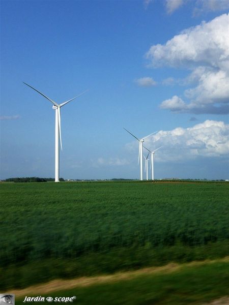 Eoliennes nord Loiret