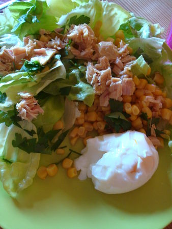 salade_thon_ma_s_laitue_et_oeuf_mollet