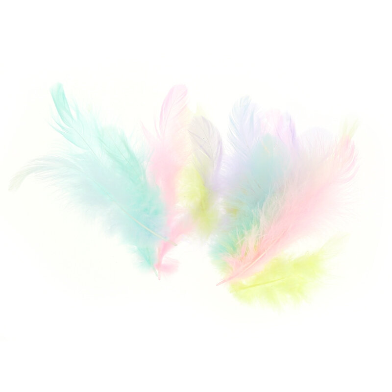 im-Assortiment-de-plumes-de-coq-7-cm-Pastel-x20