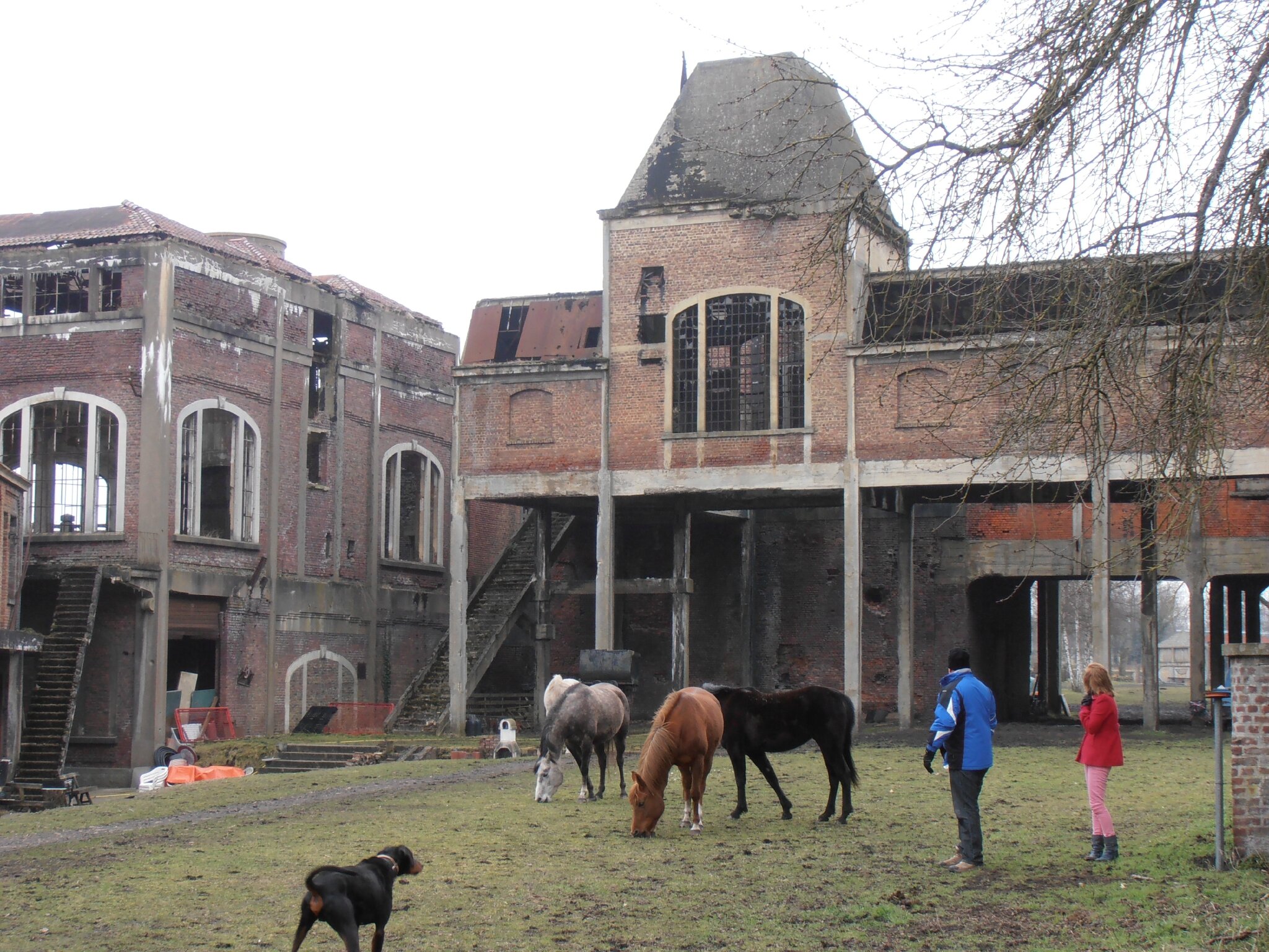 Marcasse - 20130325_13