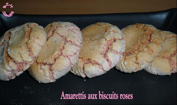 0214 Amarettis aux biscuits roses 2