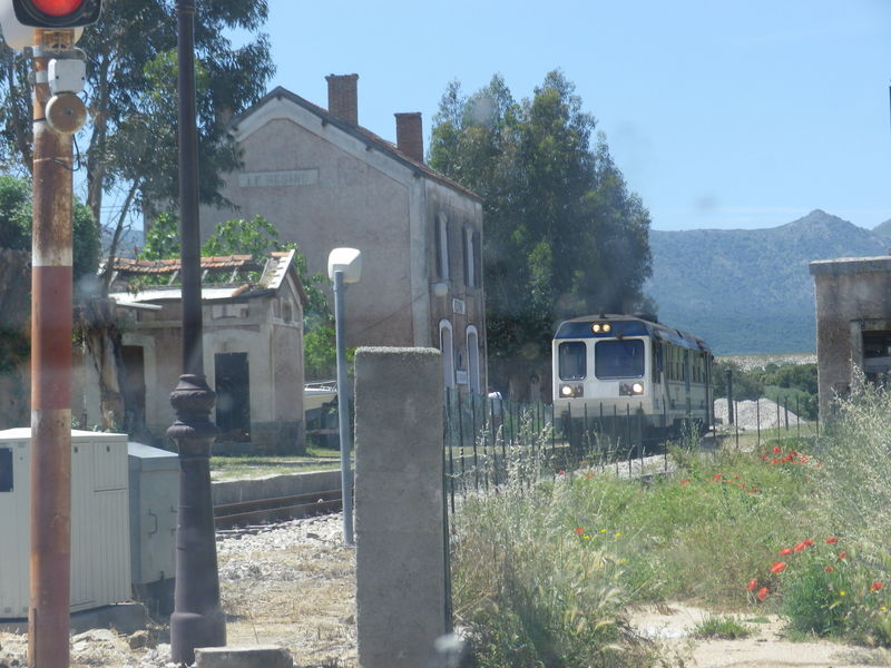 Le Regino (Haute-Corse)
