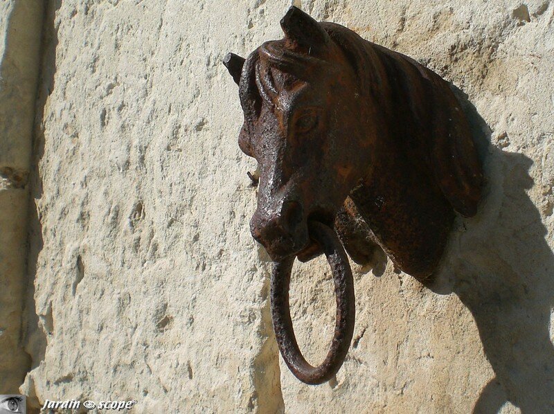 Anneau d'attache