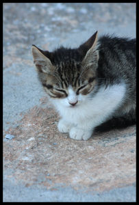 amorgos_5