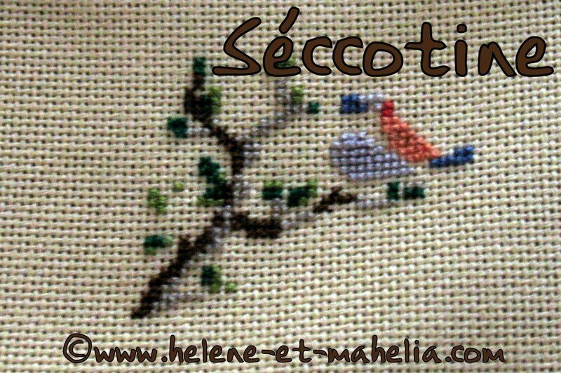 séccotine françoise_saljuil15_7