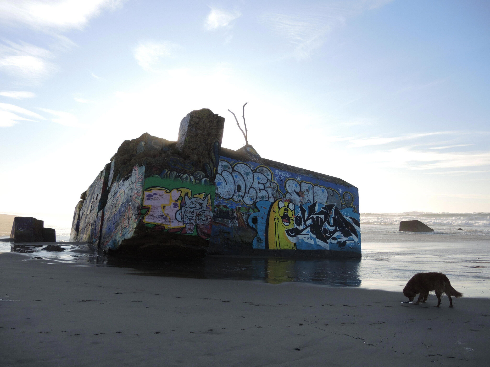 Capbreton, plage de la Piste, blockhaus, graf 2020 et siensien (40)