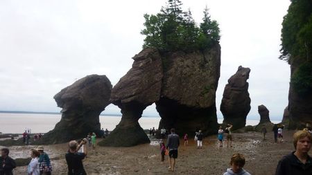 P1060905