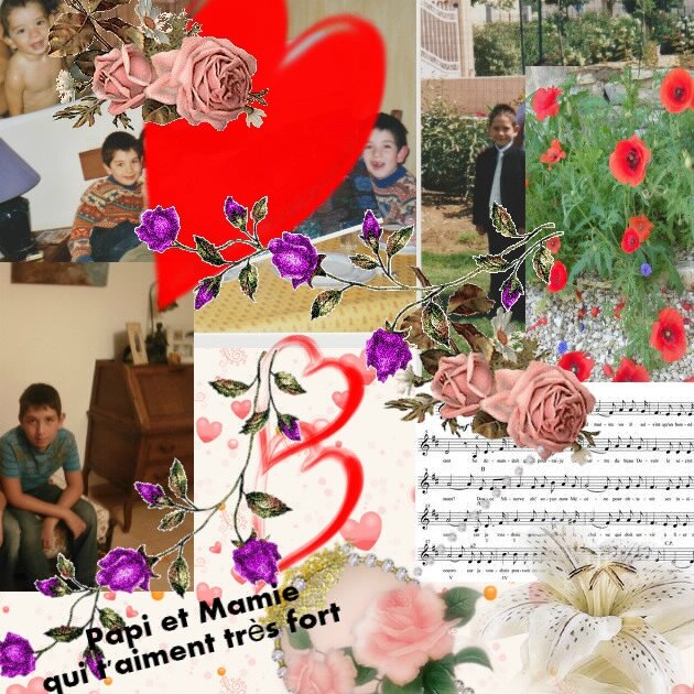 WWWWWWWWWWWSHANE ANNIVERSAIRE