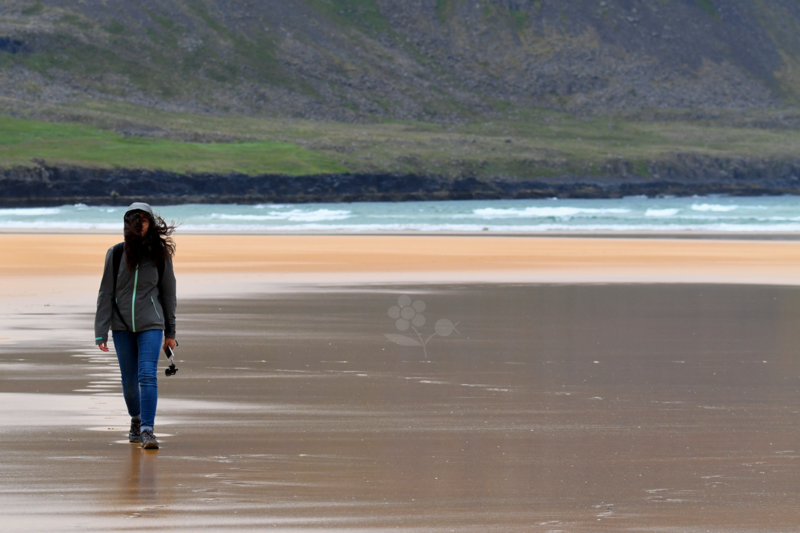 Islande, plage Rauðisandur_4