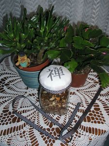 Pot Thé Zen 1
