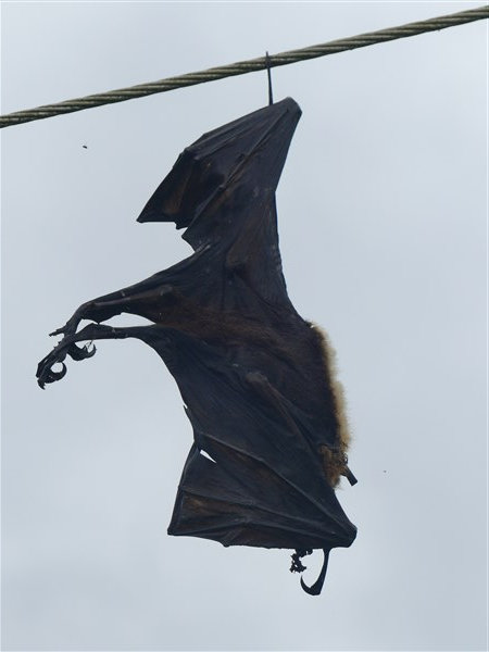 P1260743