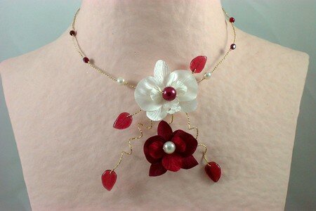 cesaree_orchidee