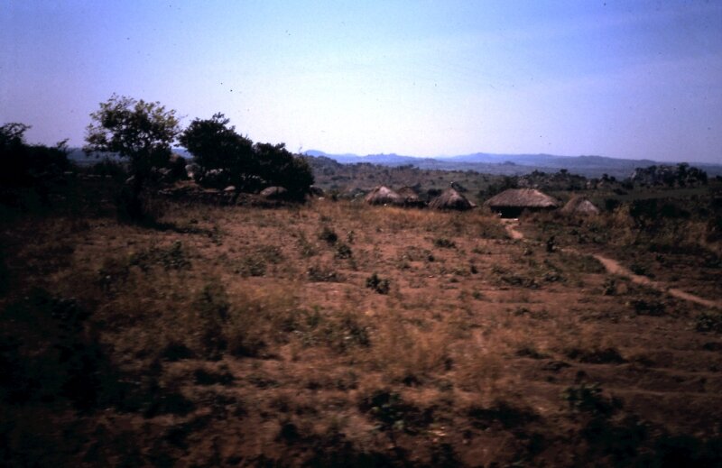 tanzanie 24