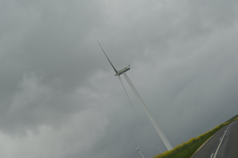 _DSC0087