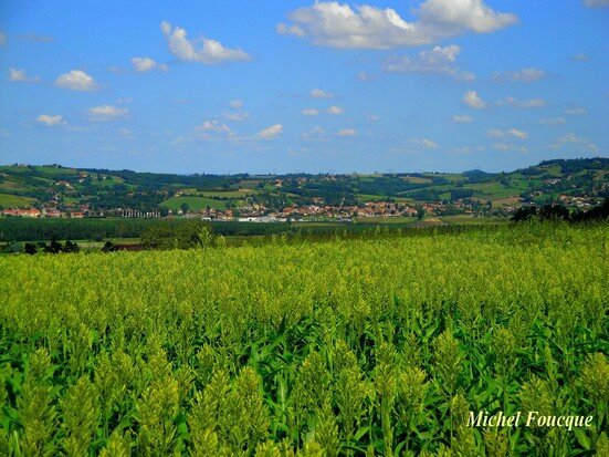 7) 5 aout 2014 vue sur luzinay depuis chateau d'eau de serpaize