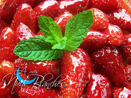 tarte_fraises4