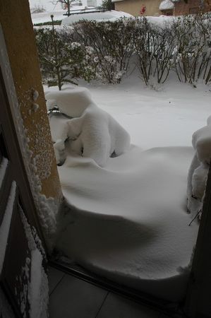 neige3janv2010