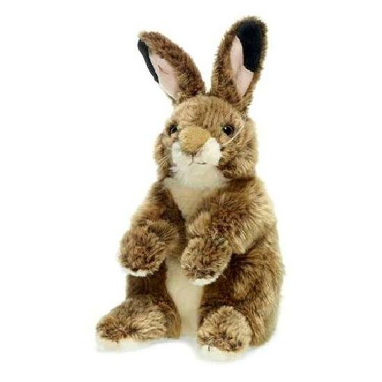 lapin Virgile
