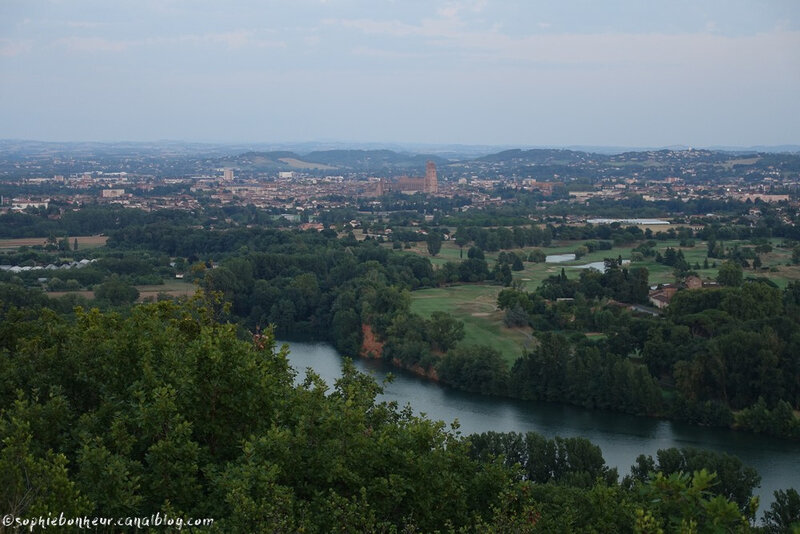 Albi cath vue dessus