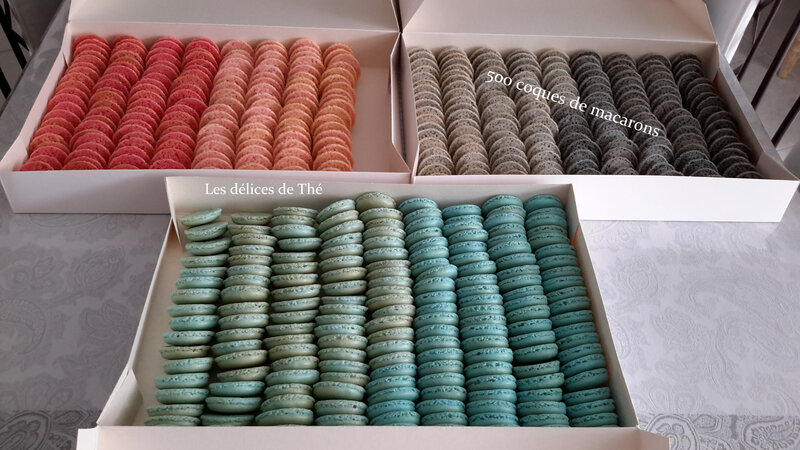 Macarons 500 coques (12)
