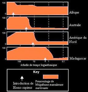 extinction_Megafaune