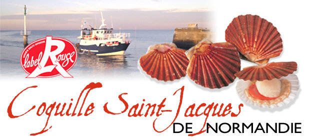 coquille_saintjacques_normandie_label_rouge__008576800_0940_08012013