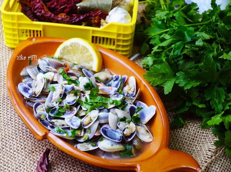 haricots de mer-coquillages-tellines