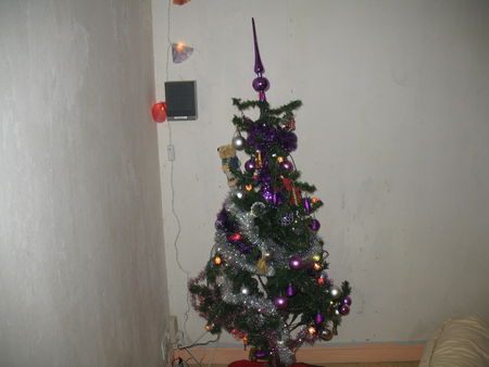 Sapin_Lucie