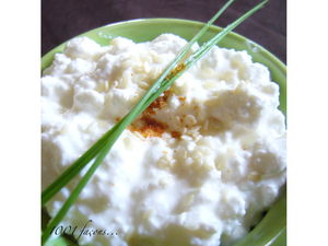 cottage_cheese2