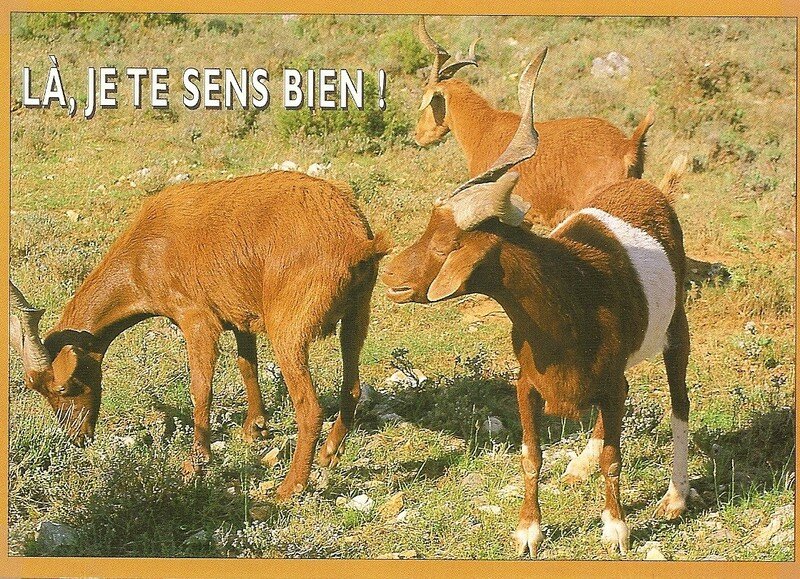 Souvenir d 'Alix (69)