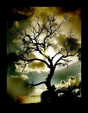 Tree_of_the_Dead_by_Silverwolf4000