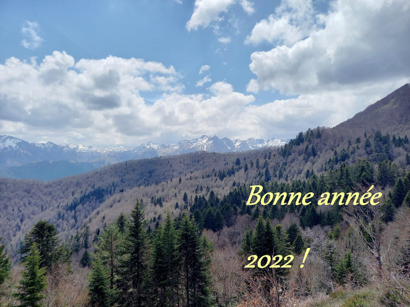 bonne-annee-2022
