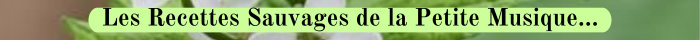 31 ALLIAIRE Recettes