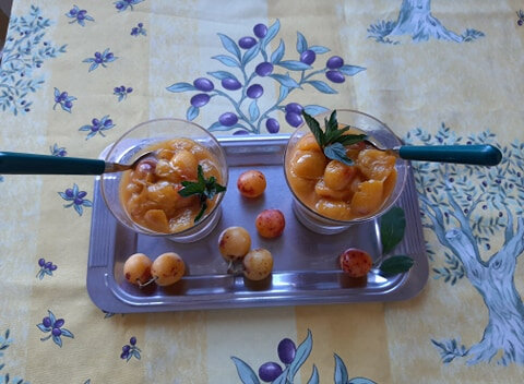 soupe de mirabelles de brigitte noel