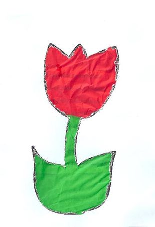 tulipe_eliot