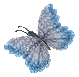 papillon_20leger_20bleu25