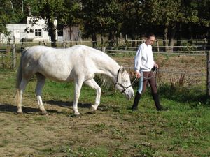 Equitation___souris_060