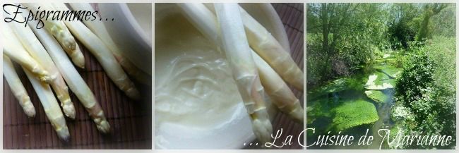 MOUSSELINE01