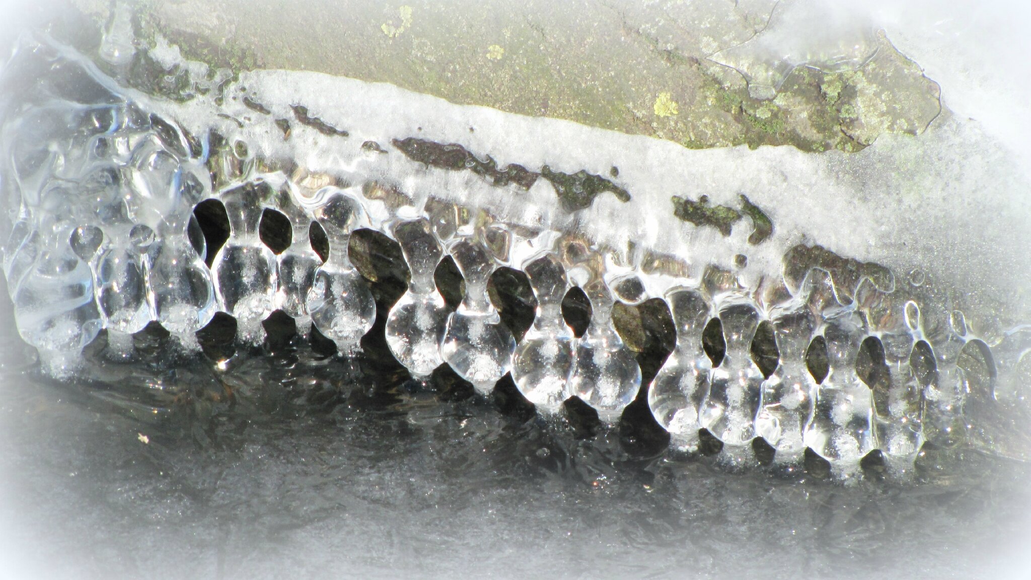 lac gelé-dentelle1