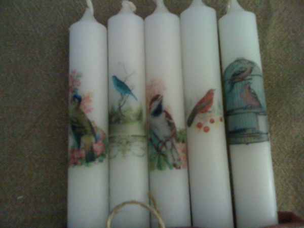 chandelles oiseaux1