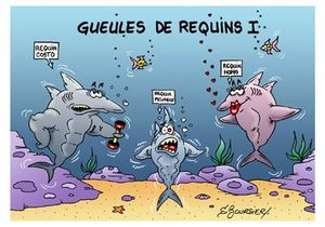 gueules de requins I