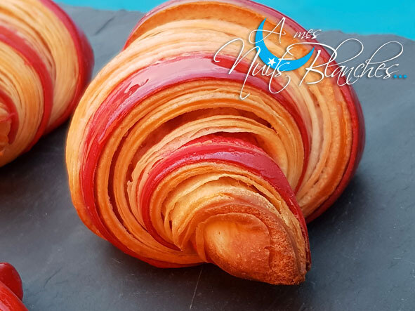 CROISSANTS-BICOLORES2