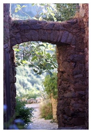 arche