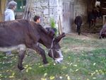 DSC05020