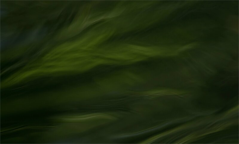 eau ondulations vertes 100717