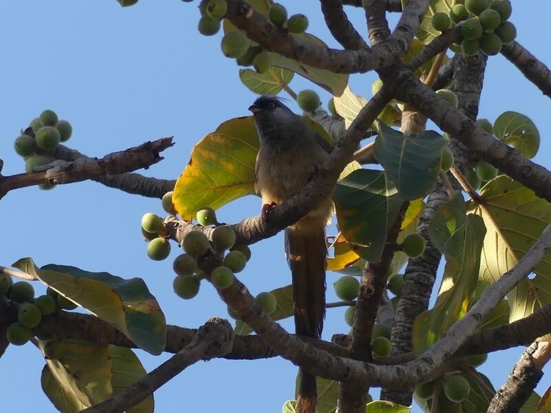 P1050609