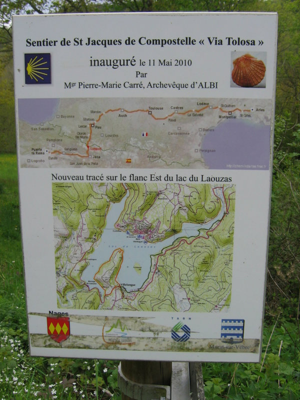 IMG_5294