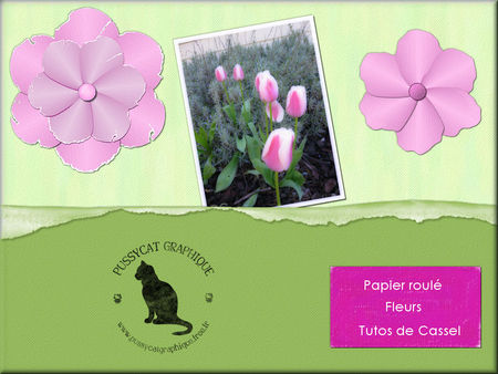 PG_fleurs_et_papier_roul__10avril2008_correction3